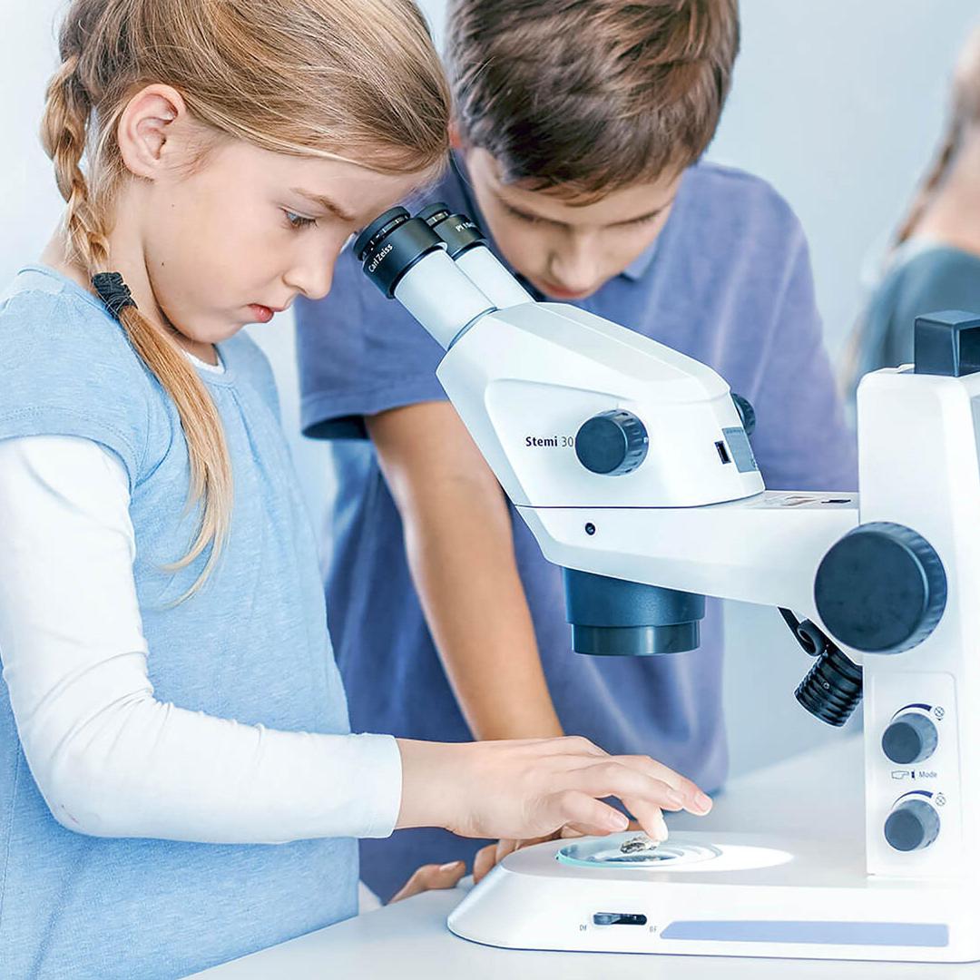 bimba microscopio