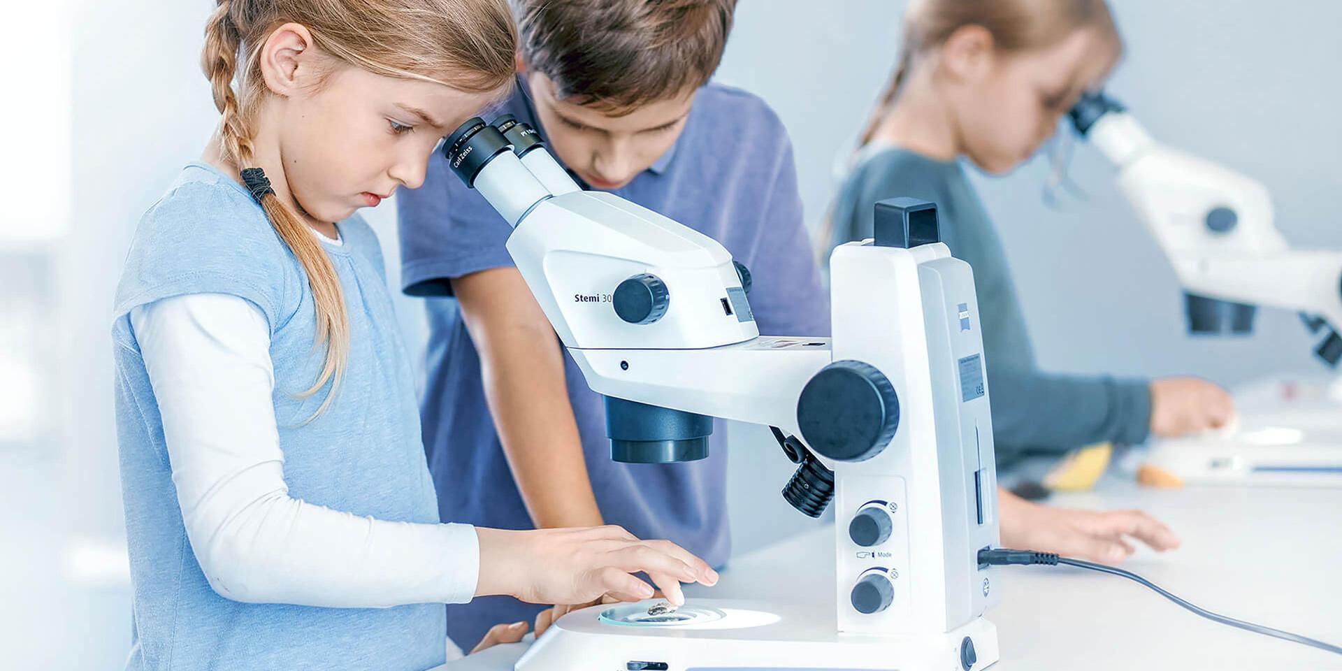 bimba microscopio
