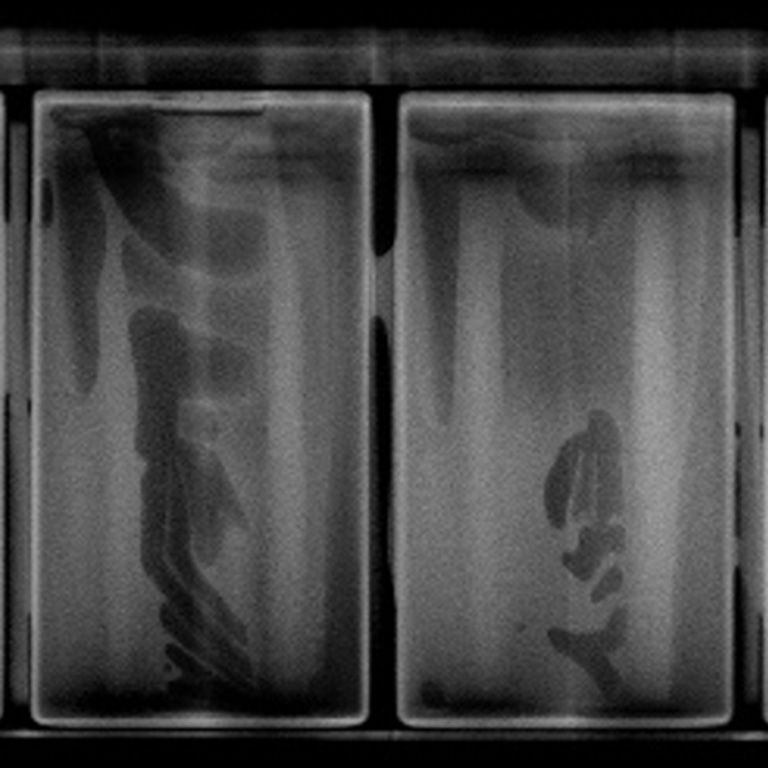 Assemblaggio modulo batteria 