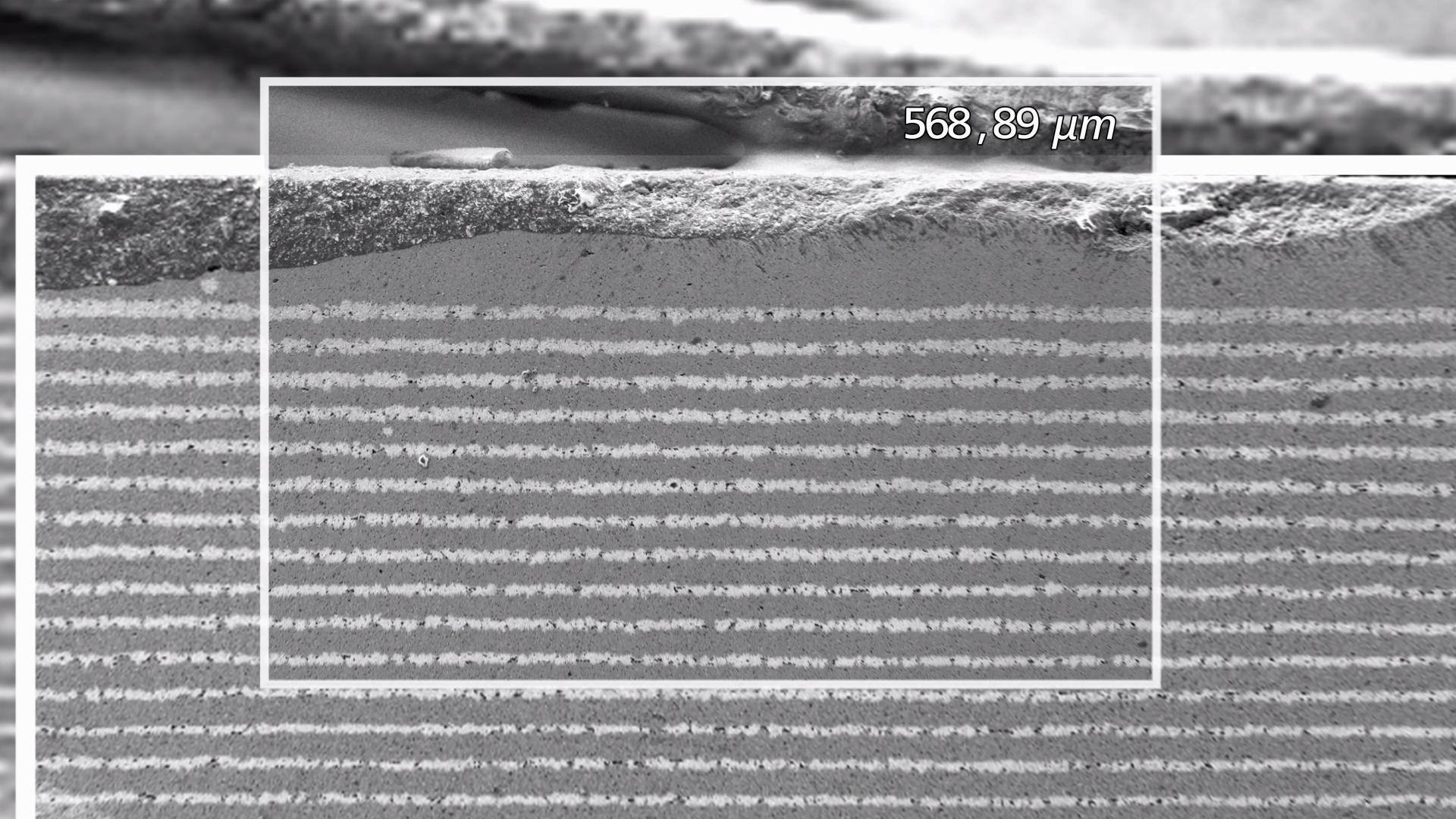Analisi della composizione degli strati di batterie agli ioni di litio con ZEISS EVO 25 