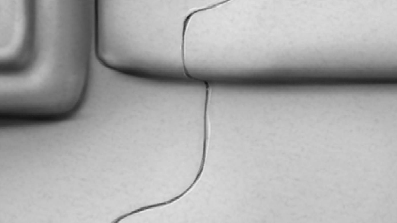 ZEISS Bave nel metallo leggero