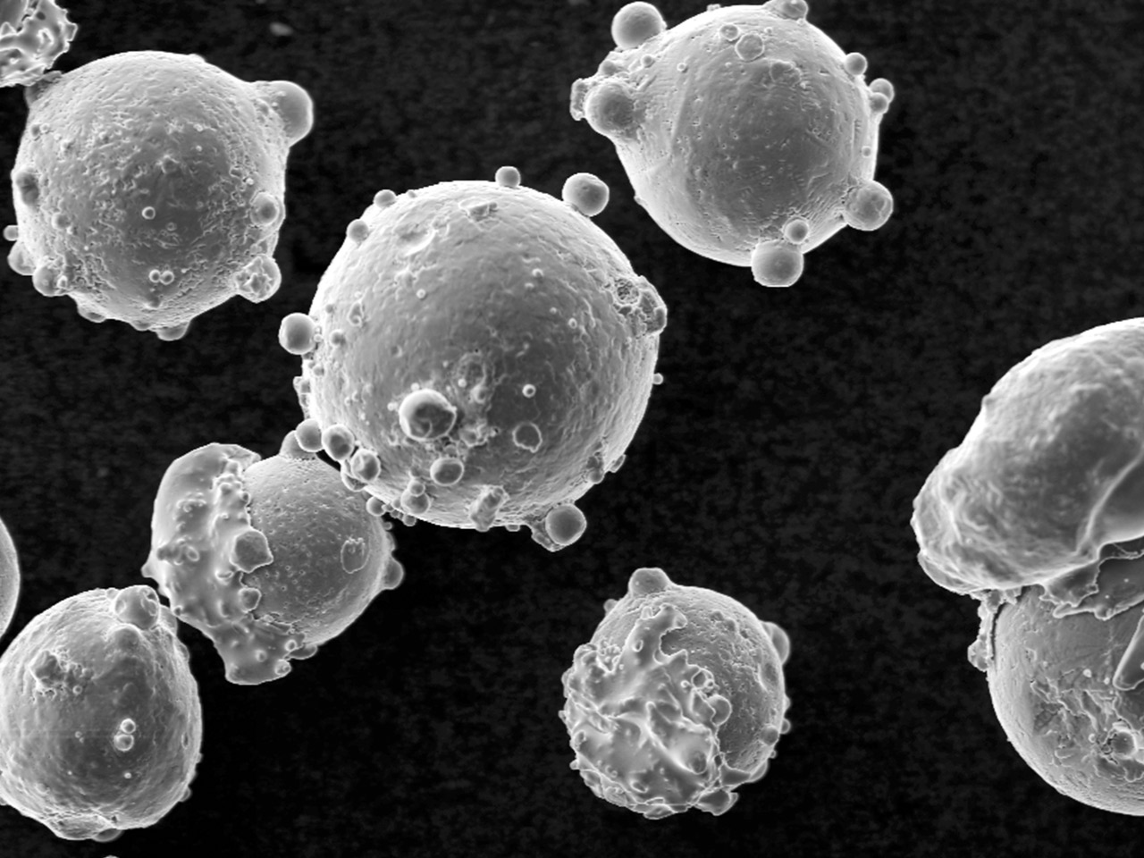 Caratterizzazione e composizione chimica della polvere grezza