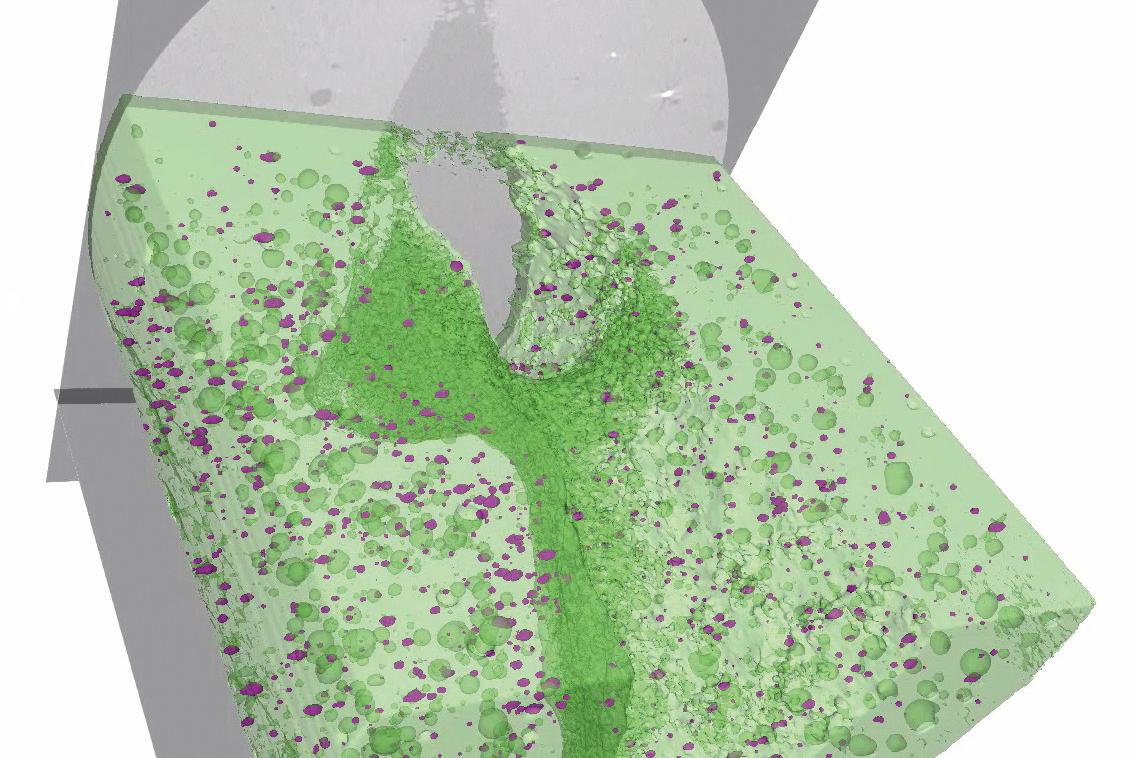 Analisi della microstruttura