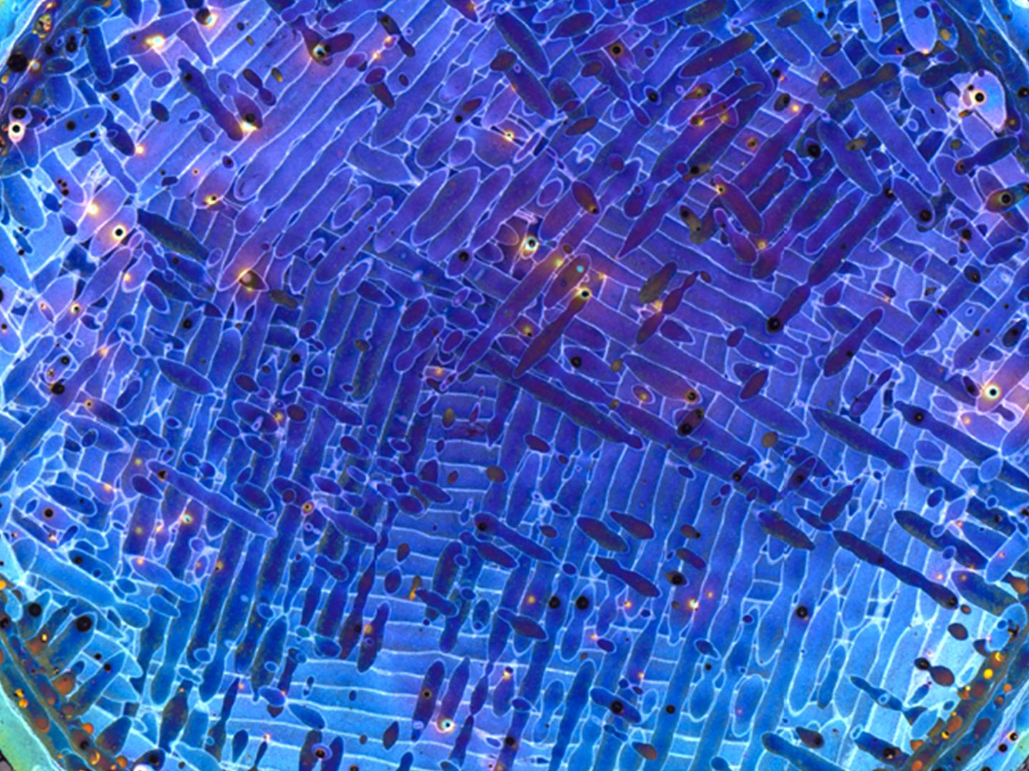 Analisi di routine di un campione di alluminio-silicio fabbricato in modo additivo