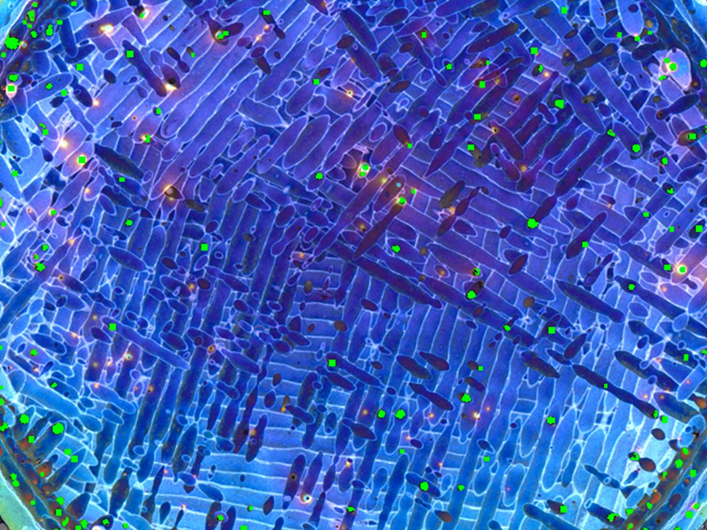 Analisi di routine di un campione di alluminio-silicio fabbricato in modo additivo