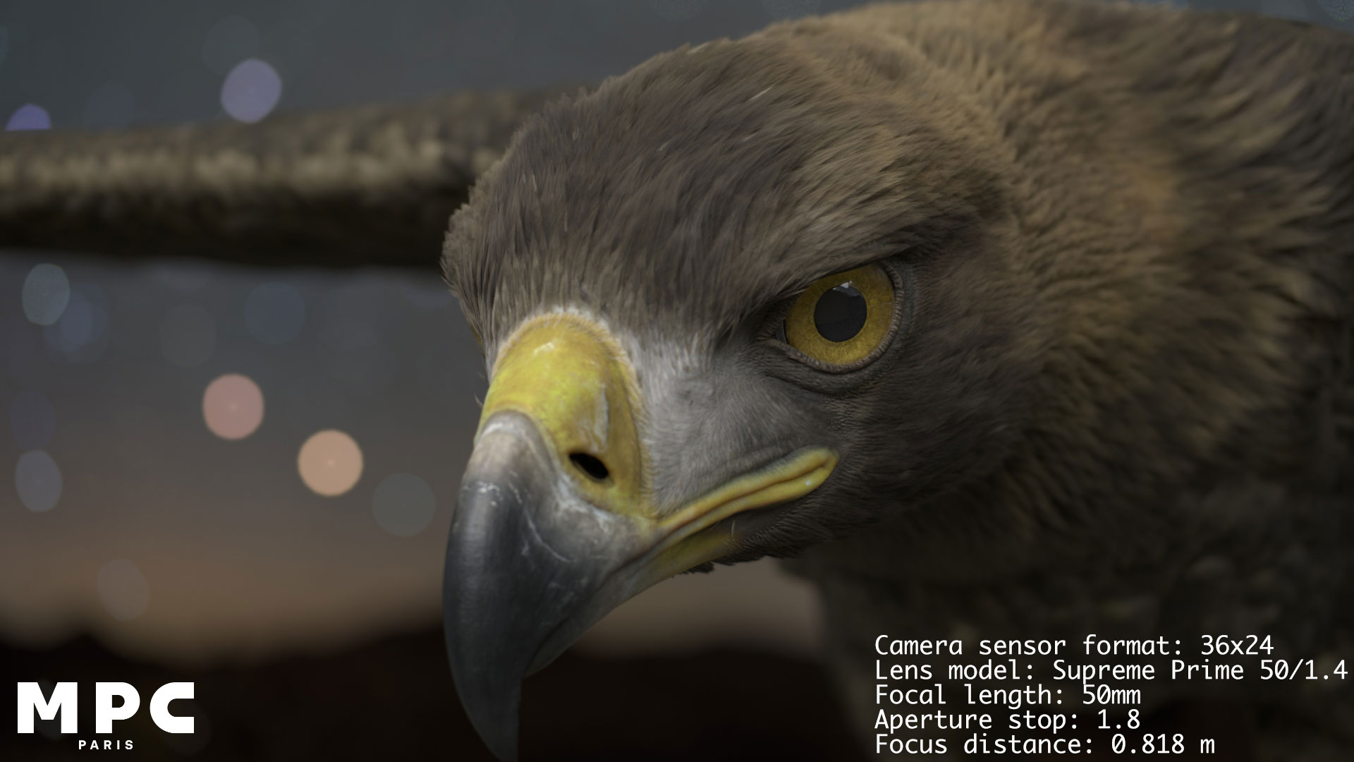Close-up image of an eagle's face and beak with an out-of-focus background, captured using a ZEISS Supreme Prime 50mm lens.