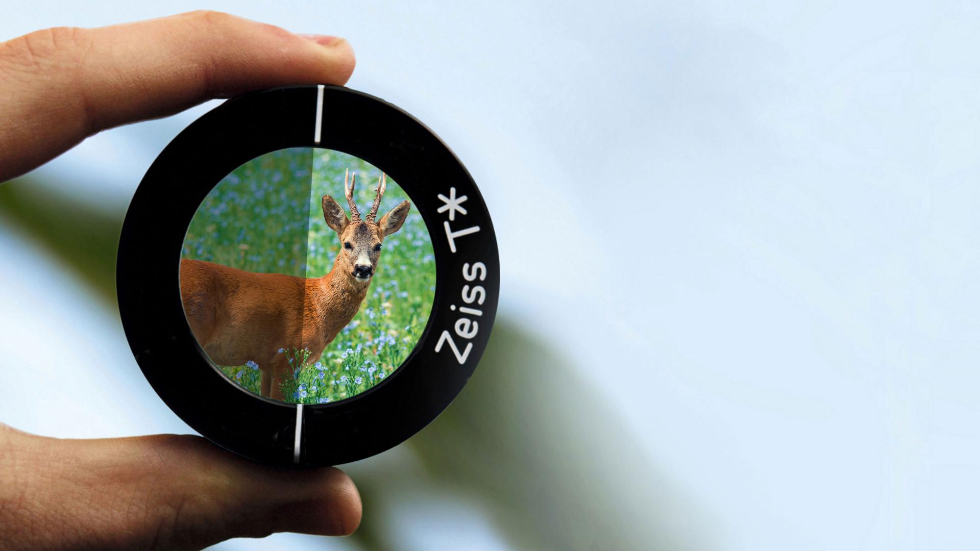 ZEISS T* coated lens element in hand, emphasizing high-contrast imaging and optimal light transmission for riflescopes
