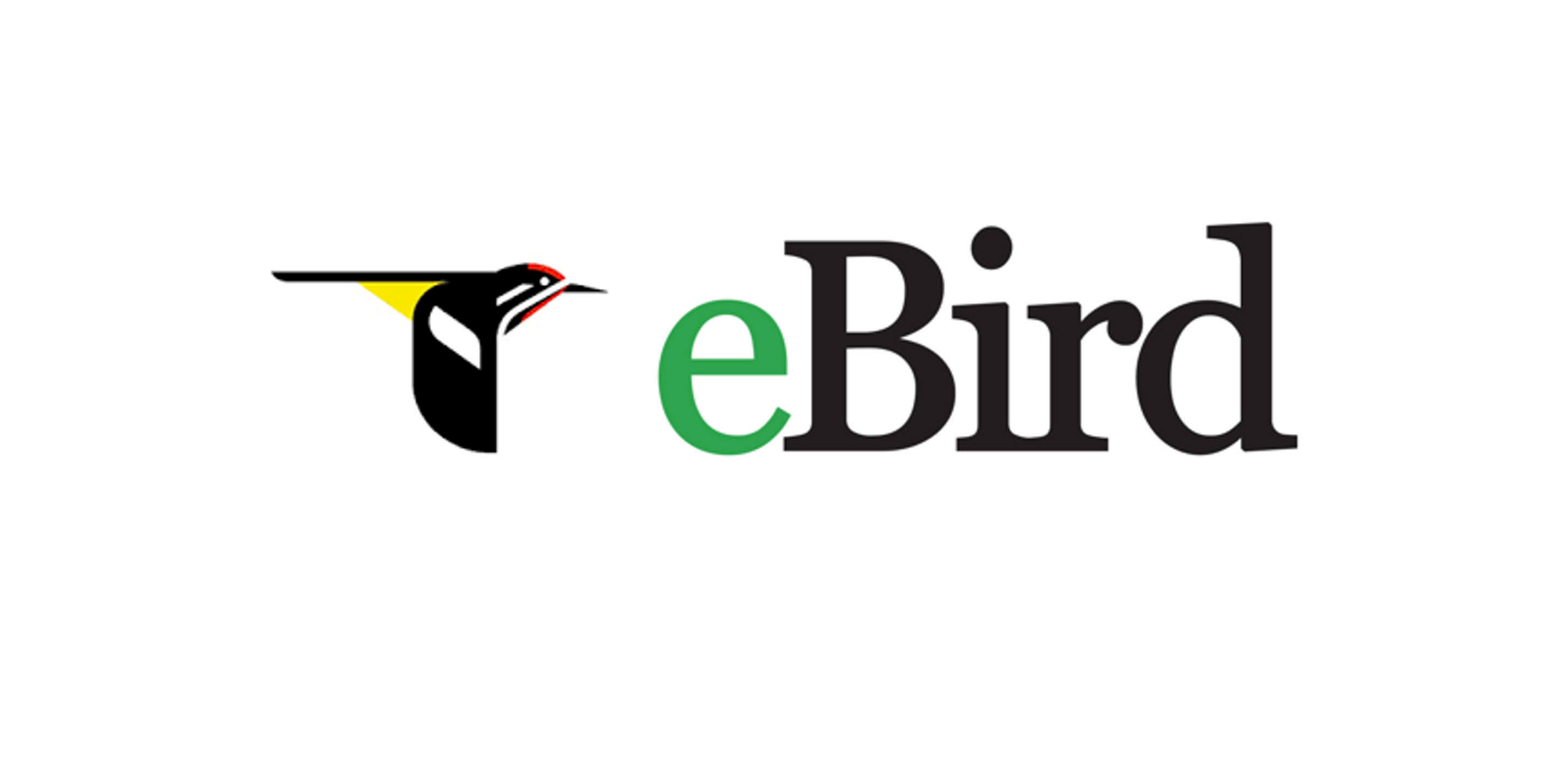 Logo of eBird featuring a stylized yellow and black bird silhouette next to the word "eBird" with a green lowercase "e".