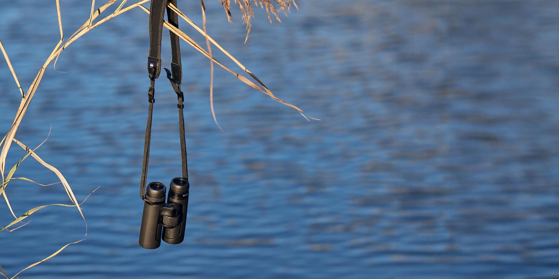 A pair of black ZEISS binoculars hangs from a dry reed branch above a calm body of water.