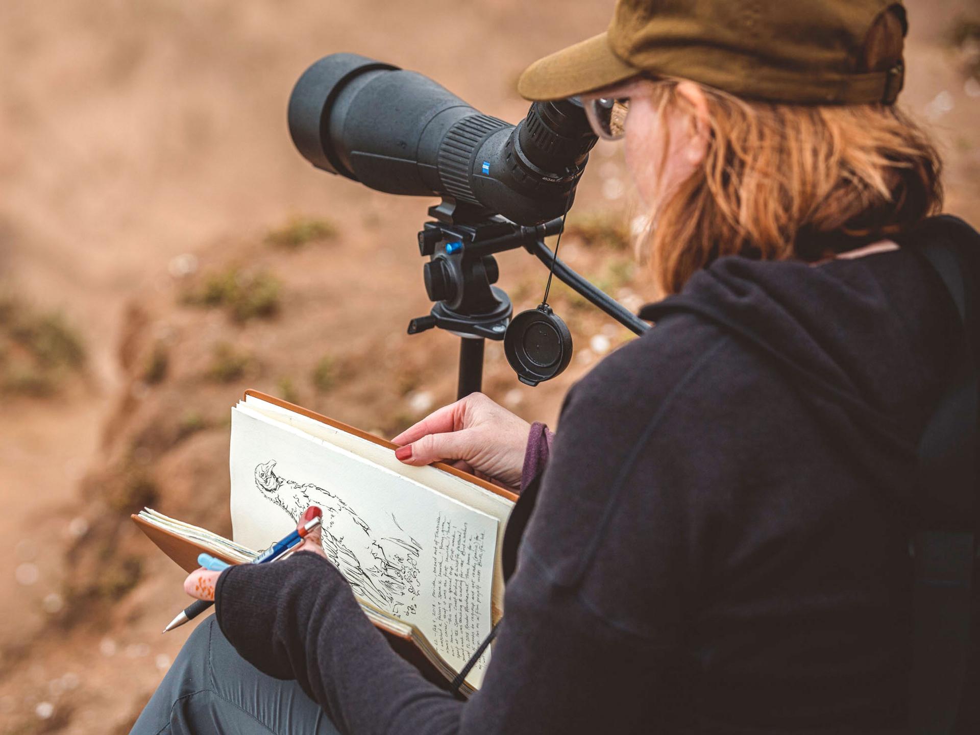 A person sits outdoors sketching in a notebook while observing wildlife through a mounted ZEISS spotting scope.