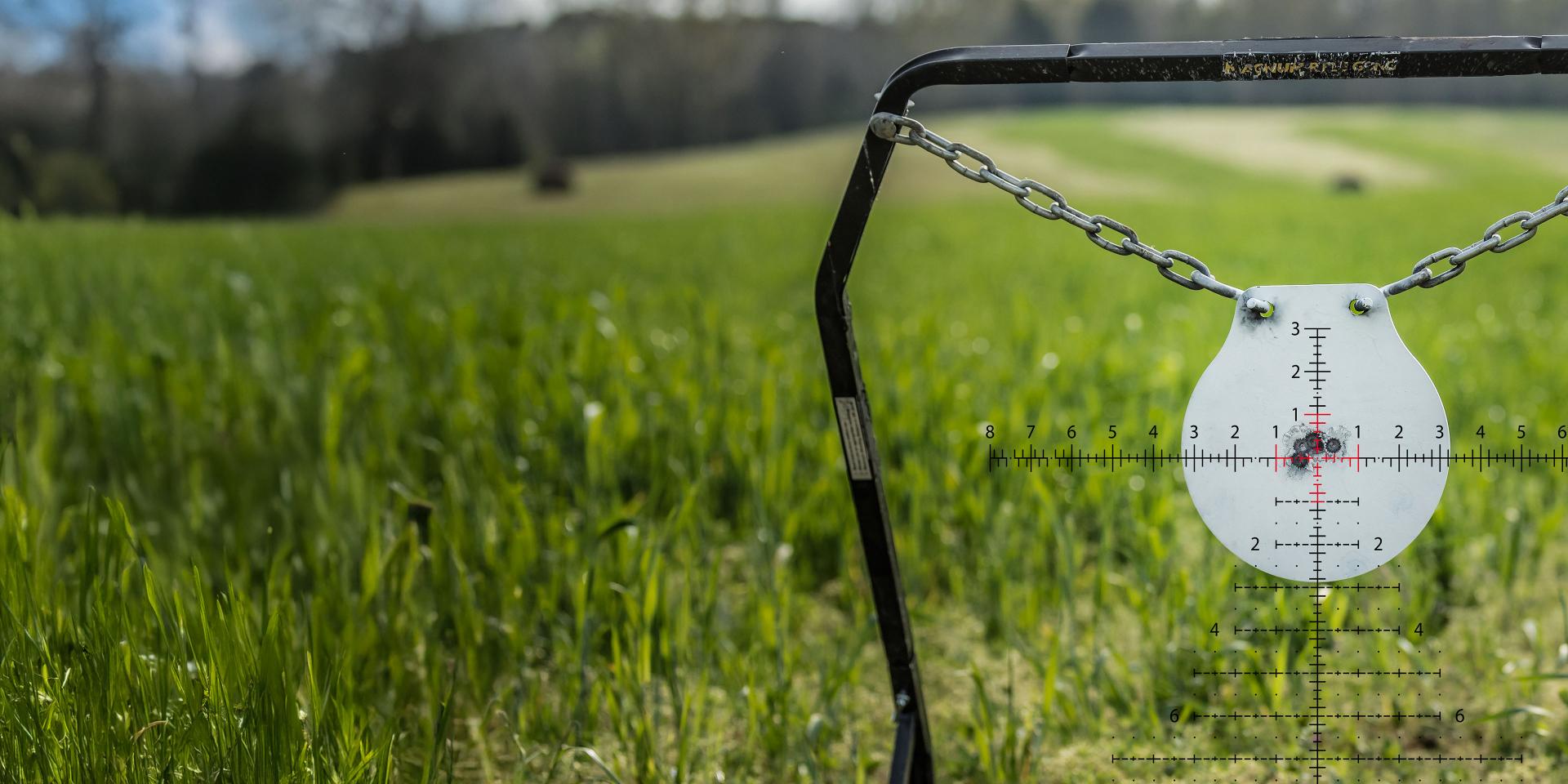 A white steel target is suspended in a green field, seen through the reticle of a ZEISS riflescope.