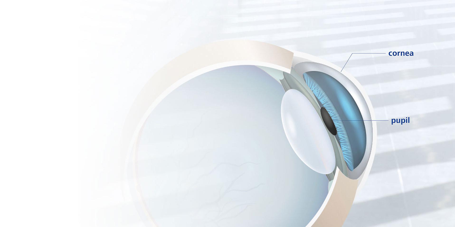SmartLife PRO Lenti ZEISS personalizzate sul profilo visivo