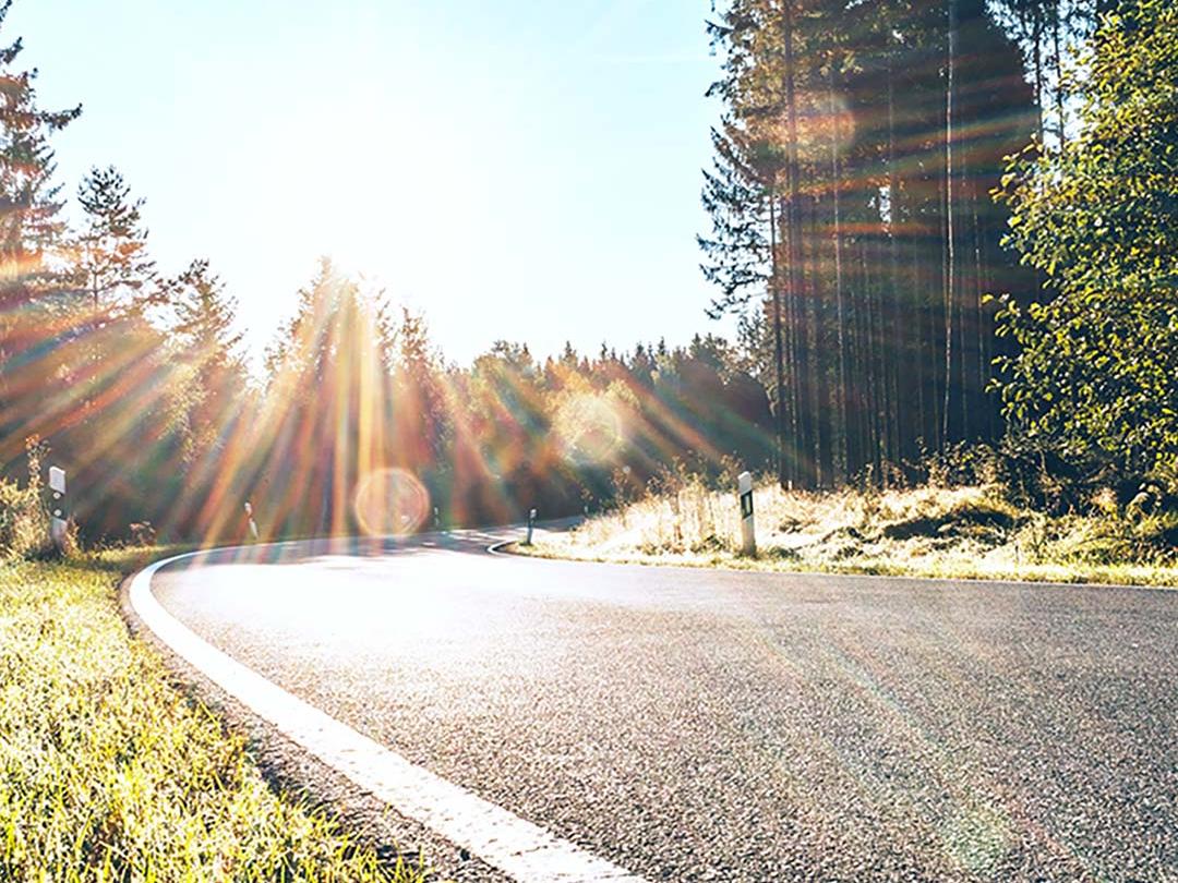 Immagine di paragone, in cui una metà mostra una strada nel bosco con la luce intensa del sole, e l'altra metà mostra la stessa strada con effetto bagliore ridotto e contrasto maggiore, enfatizzando l'effetto delle lenti per occhiali da sole polarizzate.