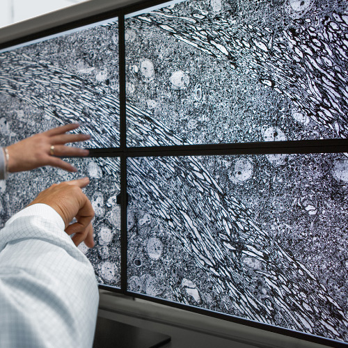 un&apos;immagine di quattro schermi che mostra le immagini catturate con il microscopio ZEISS MultiSEM. 