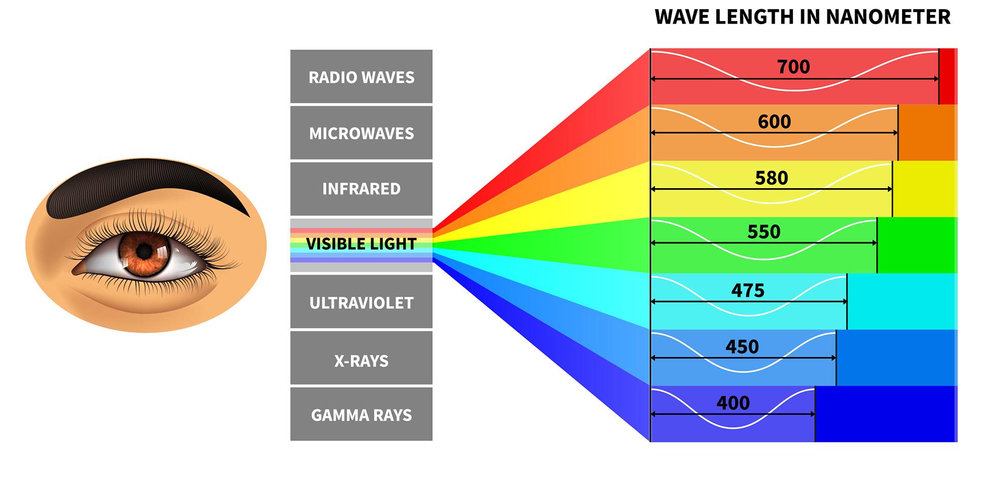 Spettro di luce visibile