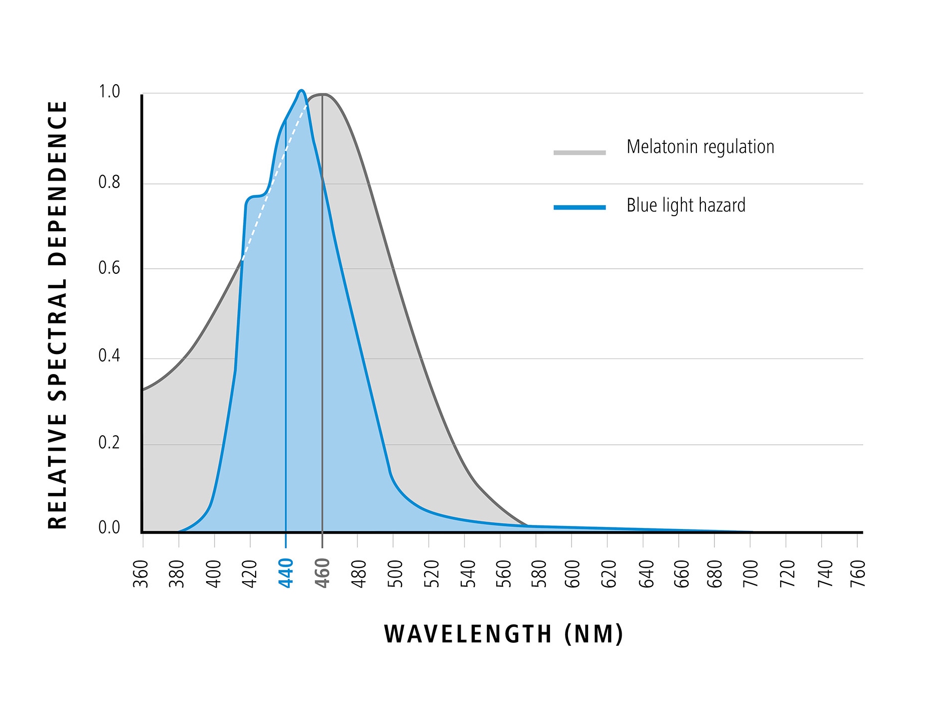 Diagramma che mostra la lunghezza d'onda della luce blu in relazione alla dipendenza spettrale relativa (effetti positivi della luce blu) 