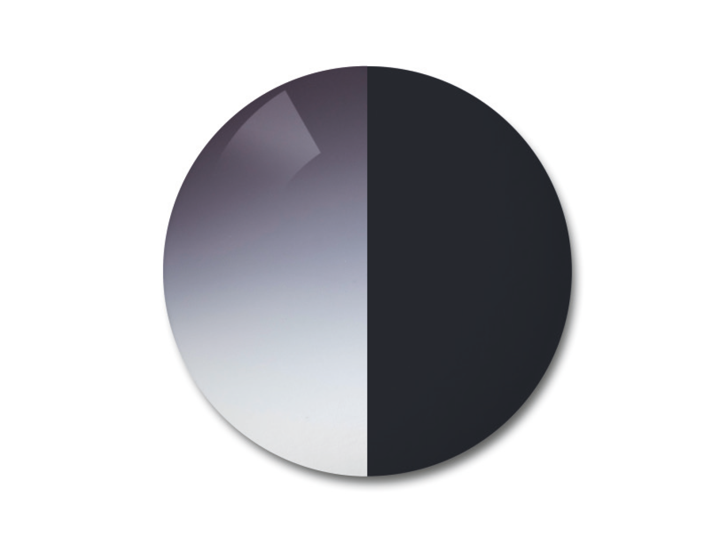 Illustrazione delle lenti polarizzate ZEISS AdaptiveSun nell'opzione di colore grigio sfumato 