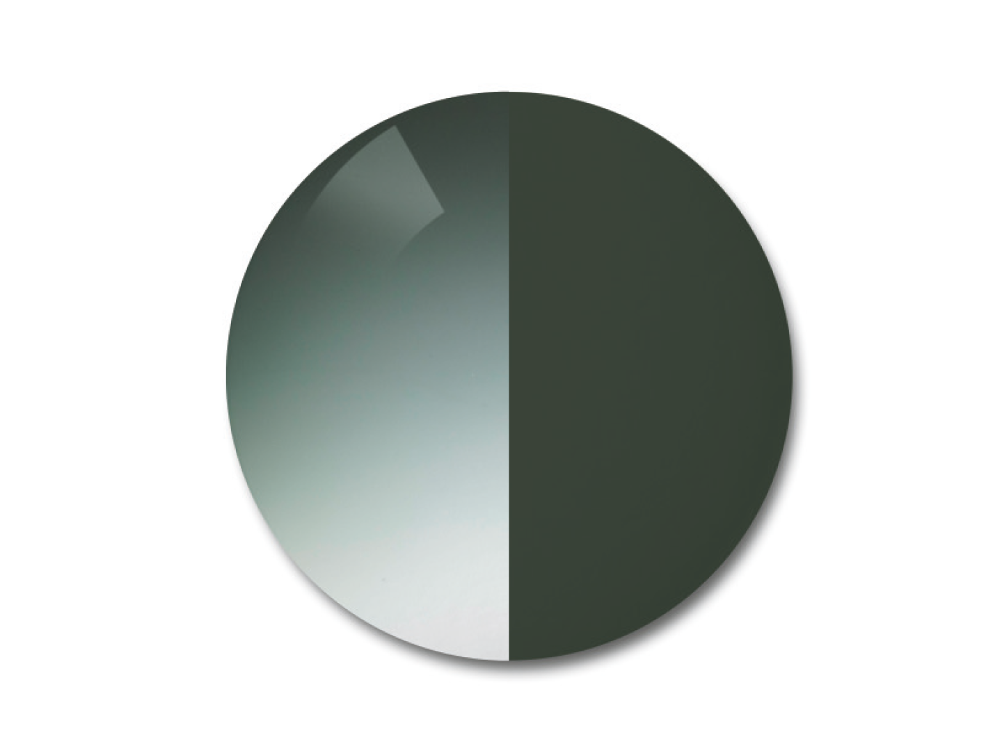 Illustrazione delle lenti polarizzate ZEISS AdaptiveSun nell'opzione di colore Pioneer sfumato 