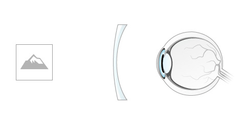 Occhiali da lettura da vicino e da lontano ZEISS Vision Care